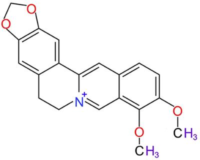 Nanotechnology-Based Strategies for Berberine Delivery System in Cancer Treatment: Pulling Strings to Keep Berberine in Power